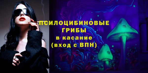 СК Вязьма