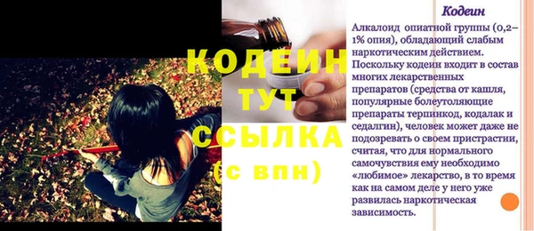 СК Вязьма