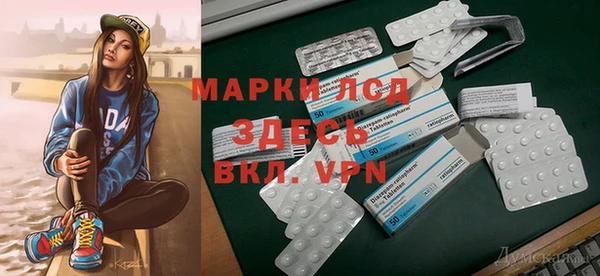 СК Вязьма